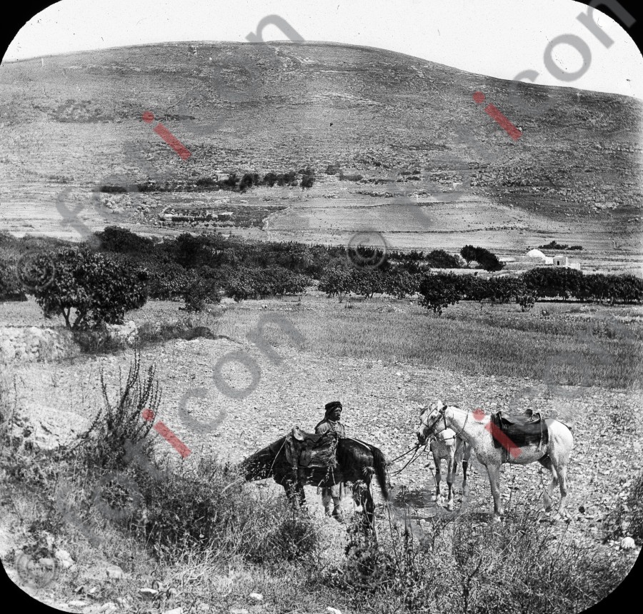 Hirten in Palästina | Shepherds in Palestine (foticon-simon-heiligesland-54-054-sw.jpg)